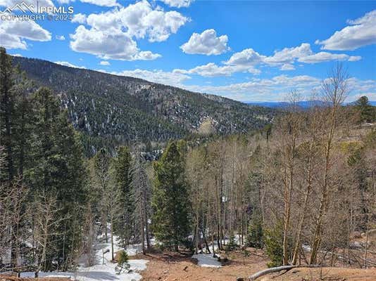 HIGHWAY 67, DIVIDE, CO 80814 - Image 1