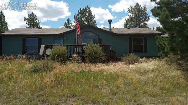 1048 BLACK FAWN LN, WESTCLIFFE, CO 81252 - Image 1