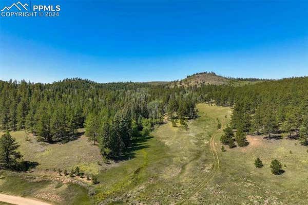 11068 TRAIL CREEK ROAD, DIVIDE, CO 80814 - Image 1