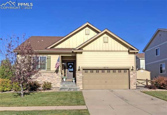 8216 KNOTTY ALDER CT, COLORADO SPRINGS, CO 80927 - Image 1