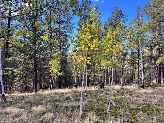 21 KIOWA CREEK TRL, FLORISSANT, CO 80816 - Image 1