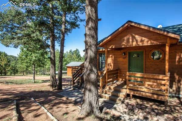 233 TROY DR, CRIPPLE CREEK, CO 80813 - Image 1