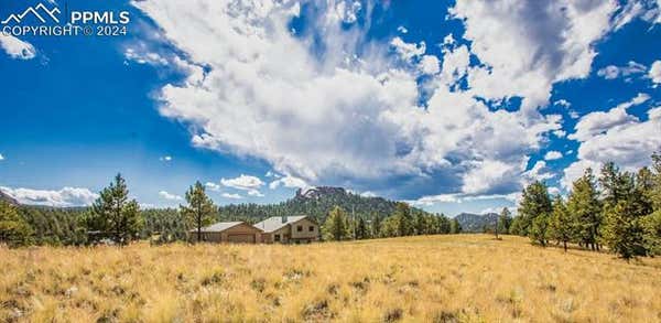 558 N DEER MOUNTAIN RD, FLORISSANT, CO 80816 - Image 1