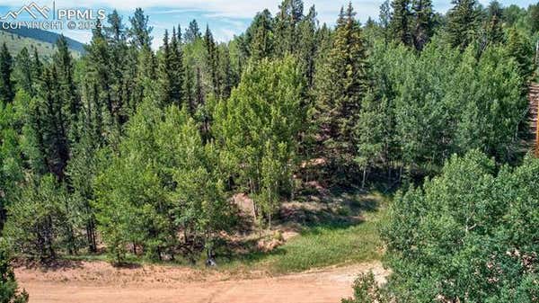 158 RATTLER CT, CRIPPLE CREEK, CO 80813 - Image 1