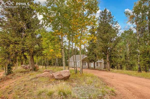 541 BROWN BEAR DR, CRIPPLE CREEK, CO 80813 - Image 1