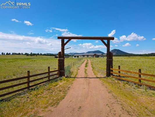 1925 DOE VALLEY RD, GUFFEY, CO 80820 - Image 1