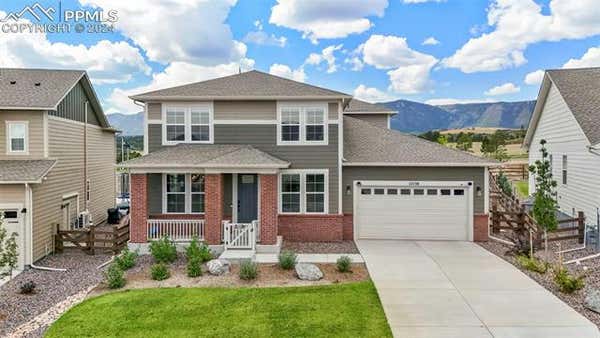 15538 NATIVE WILLOW DR, MONUMENT, CO 80132 - Image 1