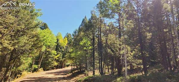 PITCHBLENDE ROAD, FLORISSANT, CO 80816 - Image 1