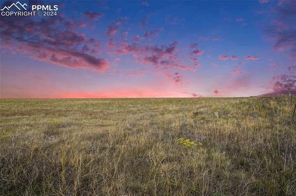 36060 HANISCH RD, CALHAN, CO 80808 - Image 1