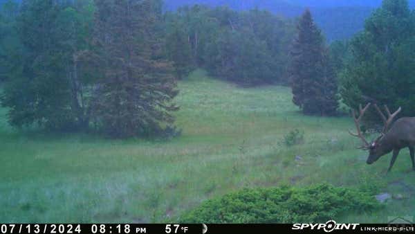 TBD COUNTY RD 575.1, GARDNER, CO 81040 - Image 1