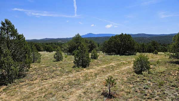 29780 COUNTY ROAD 16, TRINIDAD, CO 81082 - Image 1