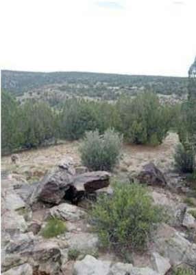 LOT 140 CABOOSE LN, RYE, CO 81069 - Image 1