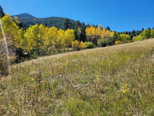 TBD HWY 165, RYE, CO 81069 - Image 1