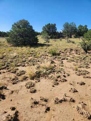 TBD LOMITA VERDE PLACE, WALSENBURG, CO 81089 - Image 1