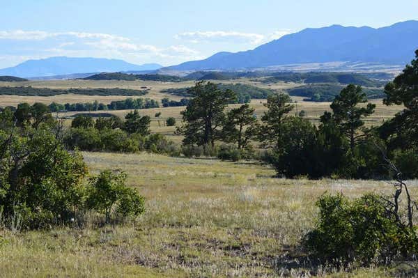 TBD PLATA PEAK, RYE, CO 81069 - Image 1