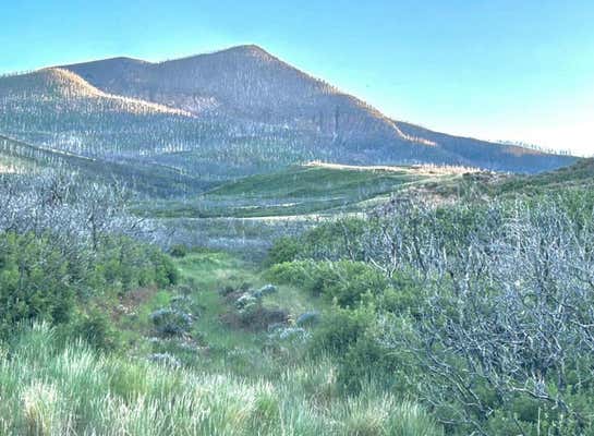 LOT 16 YELLOWSTONE CREEK RD, WALSENBURG, CO 81089 - Image 1