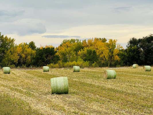 TBD DANIEL RD, PUEBLO, CO 81006 - Image 1