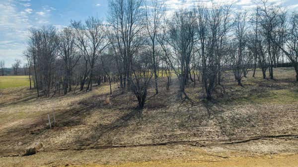 LOT 4 GALENA GOLF VIEW ESTATES PHASE II, GALENA, IL 61036, photo 3 of 7