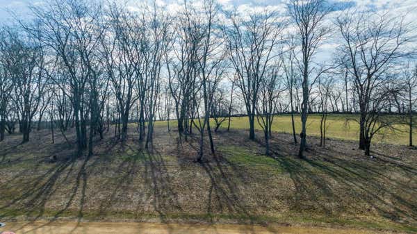 LOT 2 GALENA GOLF VIEW ESTATES PHASE II, GALENA, IL 61036, photo 2 of 9