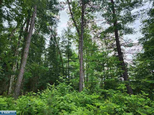 TBD COUNTY RD 52, BIGFORK, MN 56628 - Image 1