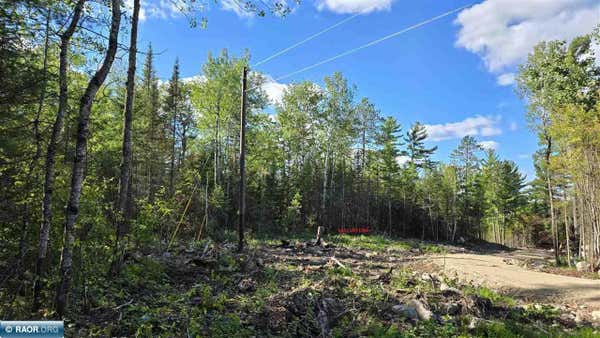 XX13.7 CRANE LAKE RD, CRANE LAKE, MN 55725 - Image 1