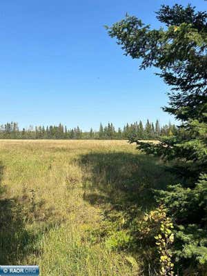 TBD WILEN RD, EMBARRASS, MN 55732 - Image 1