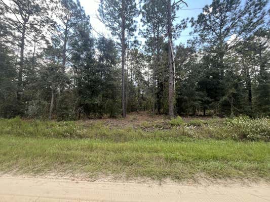 TBD SW 82ND LANE, DUNNELLON, FL 34432 - Image 1