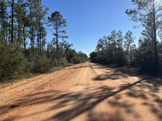 TBD APALACHICOLA AVENUE, ALFORD, FL 32420, photo 3 of 8