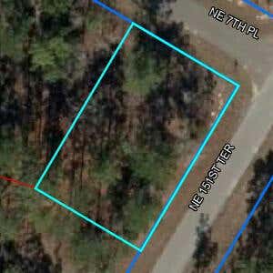 LOT1 BLK87 NE 7TH PL PLACE NE, WILLISTON, FL 32696, photo 1