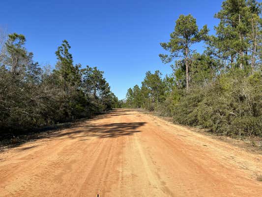 TBD APALACHICOLA AVENUE, ALFORD, FL 32420, photo 2 of 8