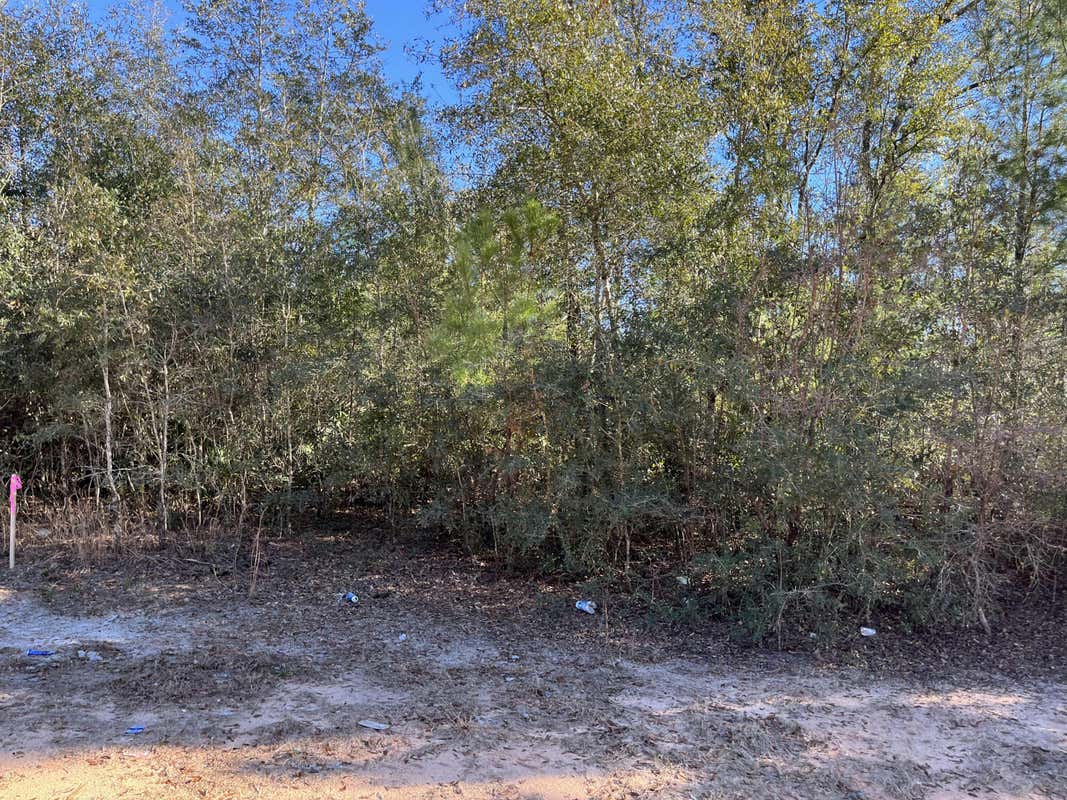 TBD BIENVILLE COURT, ALFORD, FL 32420, photo 1 of 15