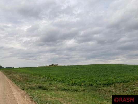 LOT 5 135TH STREET, HANSKA, MN 56041, photo 3 of 9