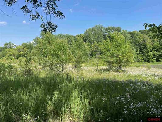 TBD WILDERNESS WAY, GOOD THUNDER, MN 56037 - Image 1