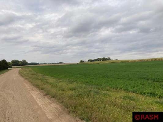 LOT 1 135TH STREET, HANSKA, MN 56041, photo 4 of 9