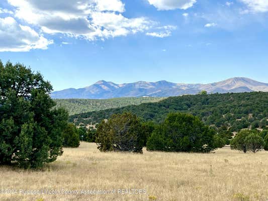 LOT 8 POJOAQUE LOOP, ALTO, NM 88312 - Image 1