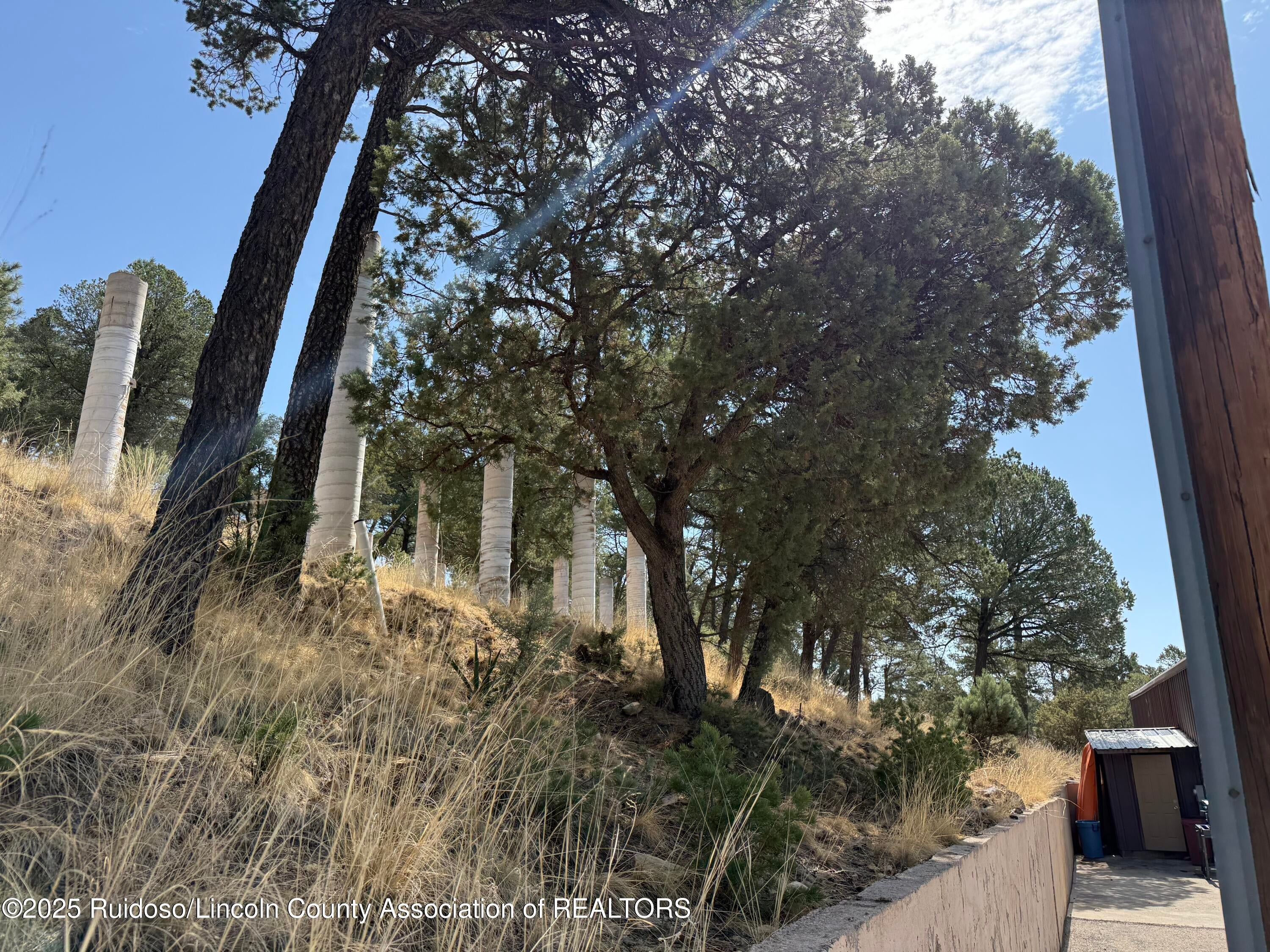 Ruidoso, New Mexico, 88345, United States, ,36 BathroomsBathrooms,Residential,Active,1920237