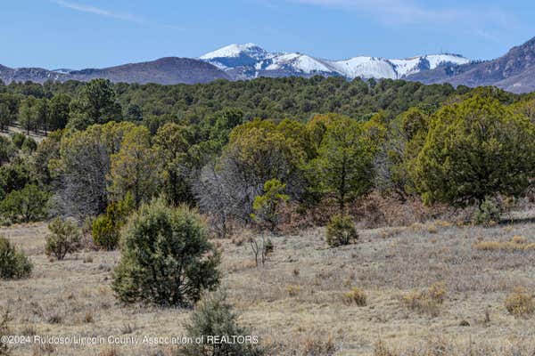 LOT 40 COPPER RIDGE ROAD, ANGUS, NM 88316 - Image 1