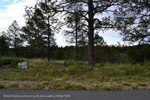 56A BUTCH BAIRD LANE, ALTO, NM 88312 - Image 1