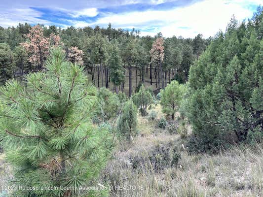 LOT 4 STABLE ROAD, ALTO, NM 88312 - Image 1