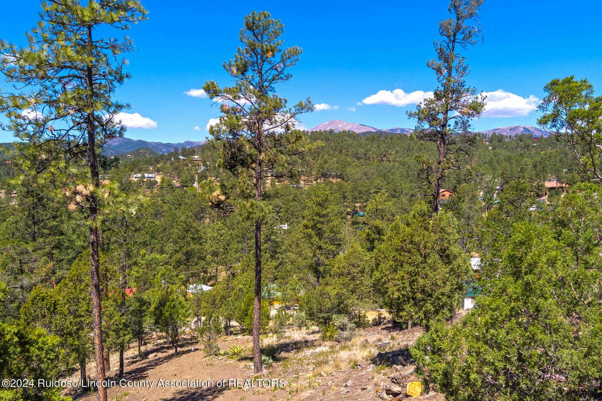 104 EMBDY RD, RUIDOSO, NM 88345, photo 1 of 18