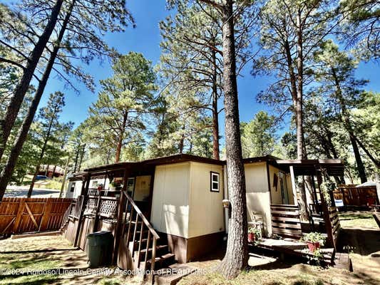 101 JUNIPER RD, RUIDOSO, NM 88345 - Image 1