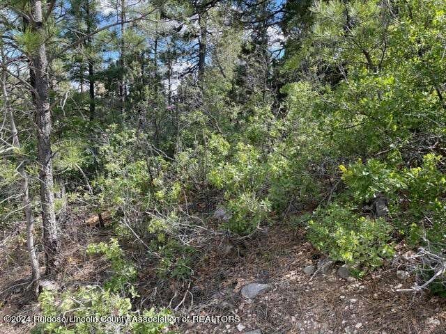 50 CHAUCER DR, TIMBERON, NM 88350, photo 1