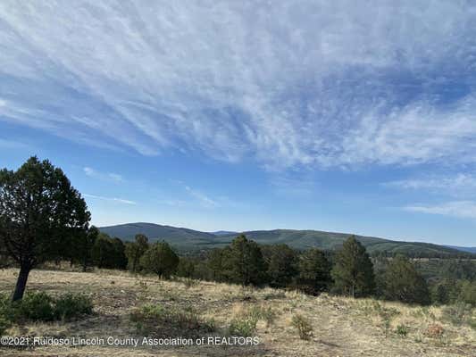 L12D WALTER HAGAN DRIVE, ALTO, NM 88312, photo 3 of 3