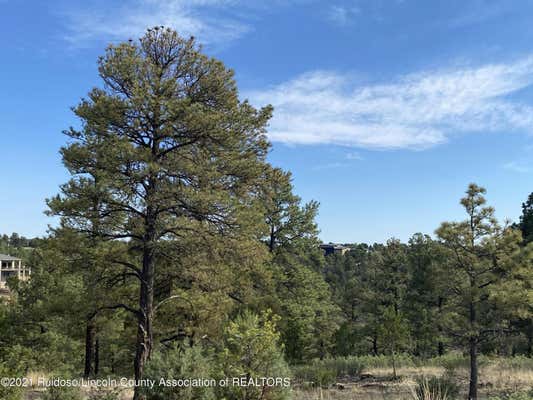 L5D WALTER HAGAN DRIVE, ALTO, NM 88312, photo 2 of 3