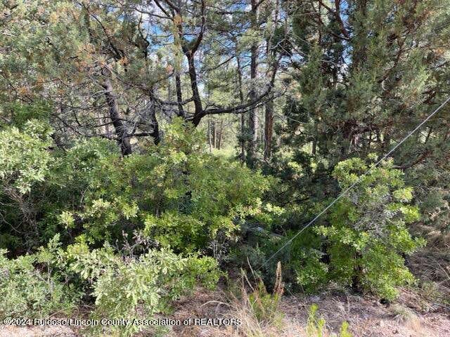 LOT 236 MALORY DRIVE, TIMBERON, NM 88350, photo 1