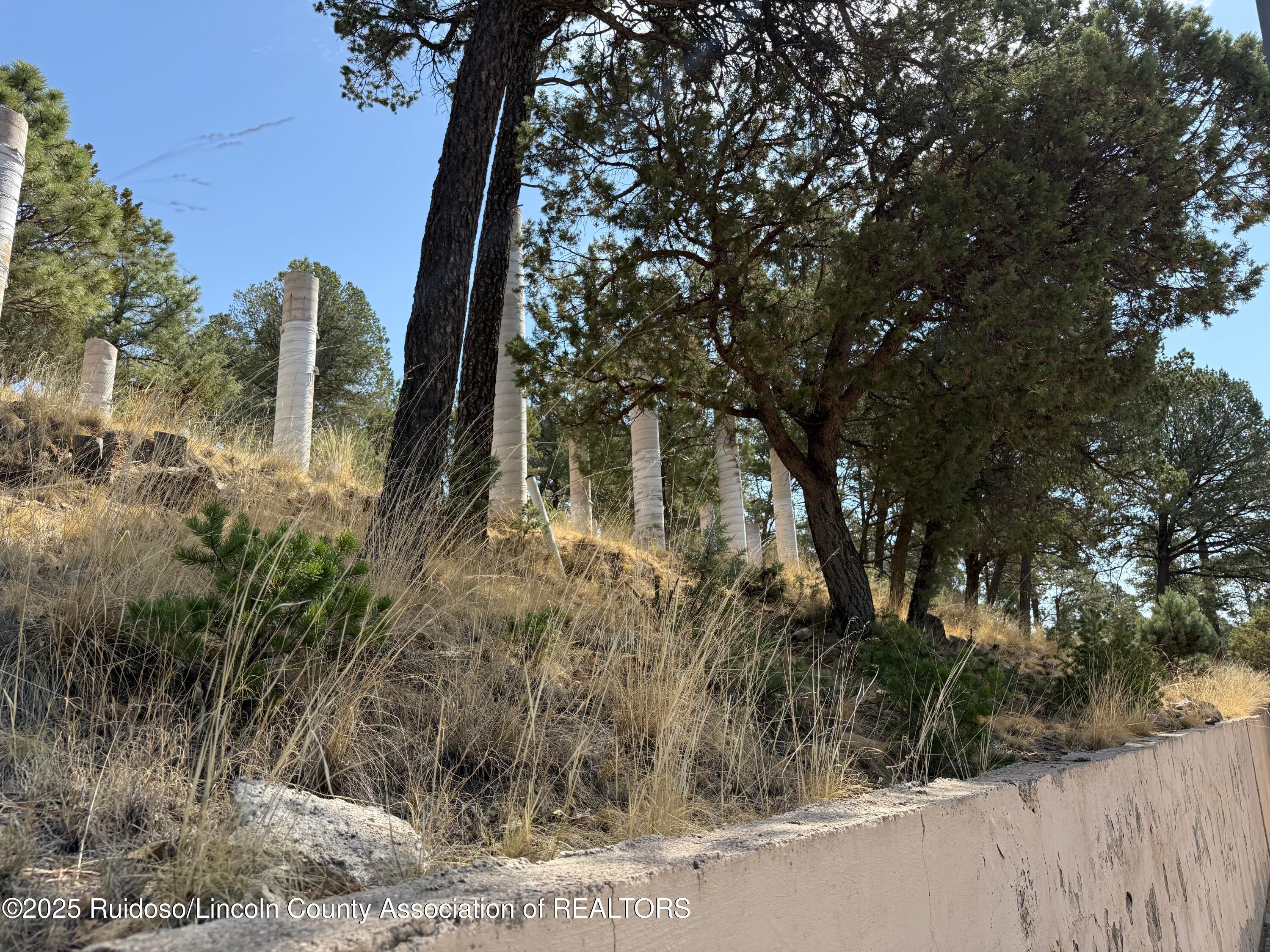 Ruidoso, New Mexico, 88345, United States, ,36 BathroomsBathrooms,Residential,Active,1920237