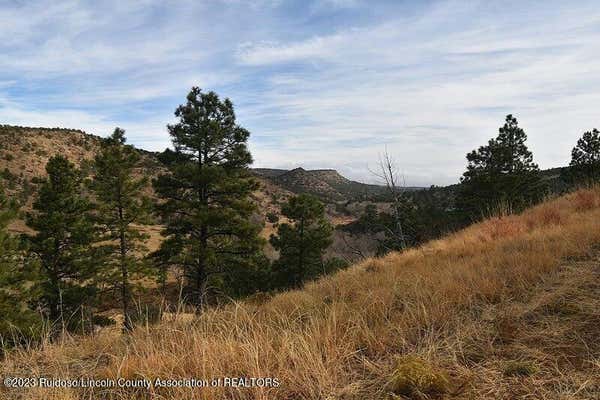 L301 SANDESTA DRIVE, ALTO, NM 88312 - Image 1