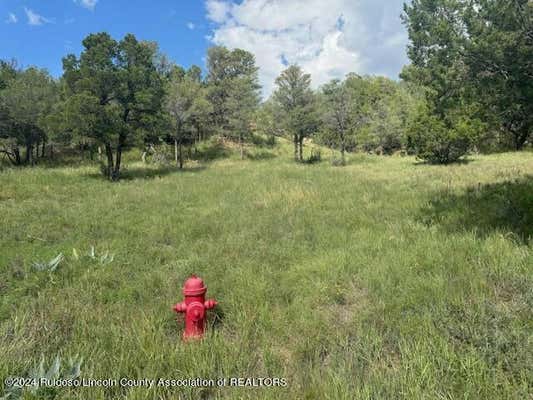 1127 LITTLE BIG HORN RD, ALTO, NM 88312 - Image 1