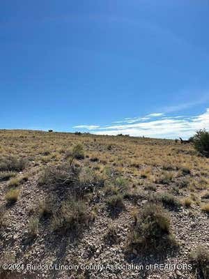 161 WINDMILL RD, ANCHO, NM 88301, photo 4 of 9