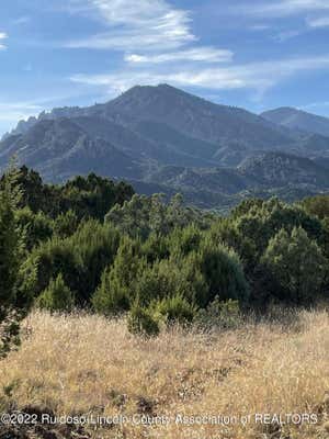 ~MM19 ARABELA HIGHWAY, ARABELA, NM 88351 - Image 1